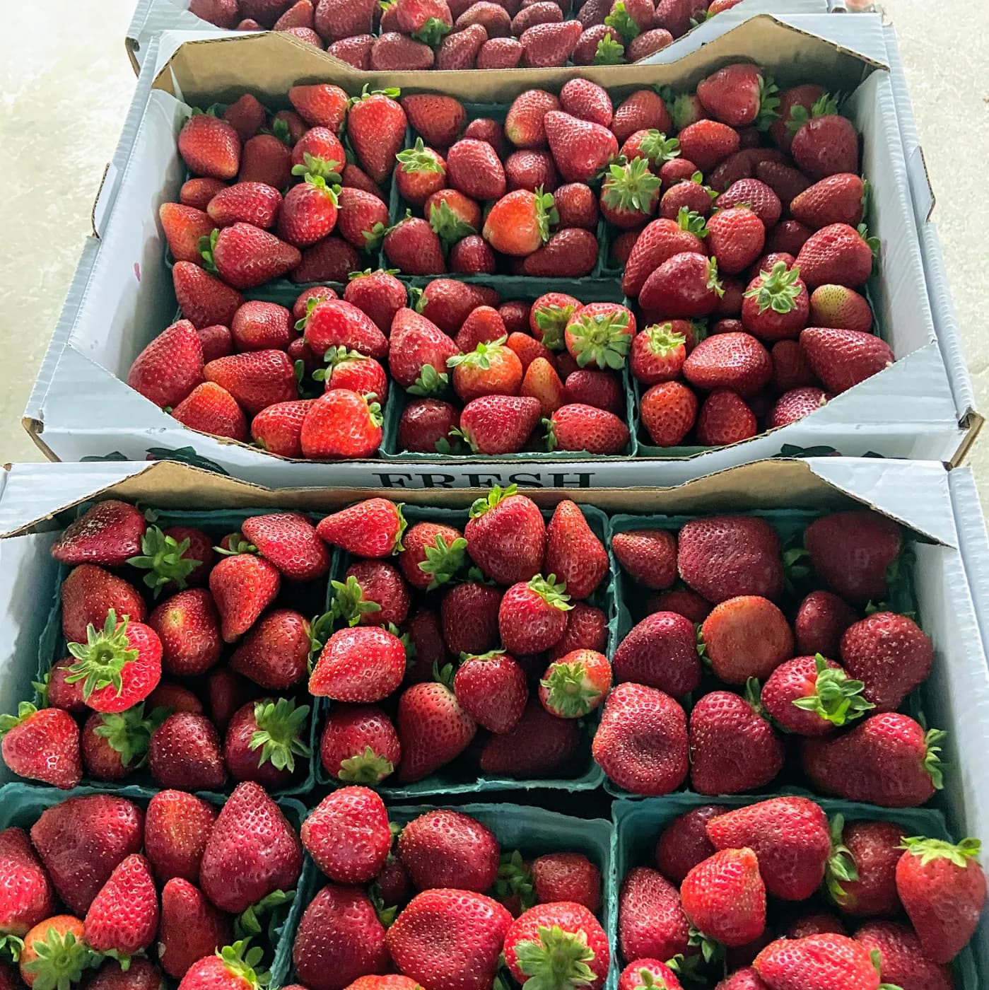 Andrews Produce -A Topsail Island Tradition