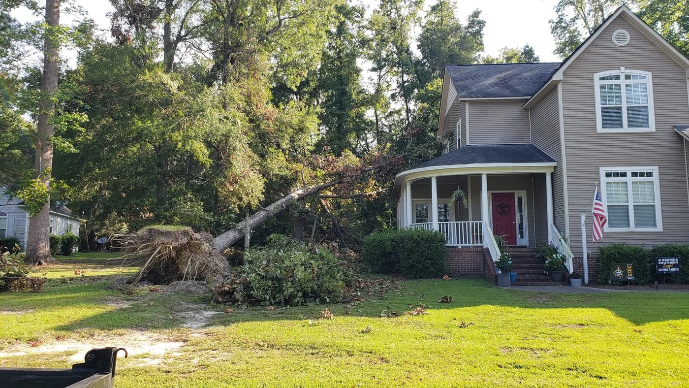 B & B's Tree Service LLC