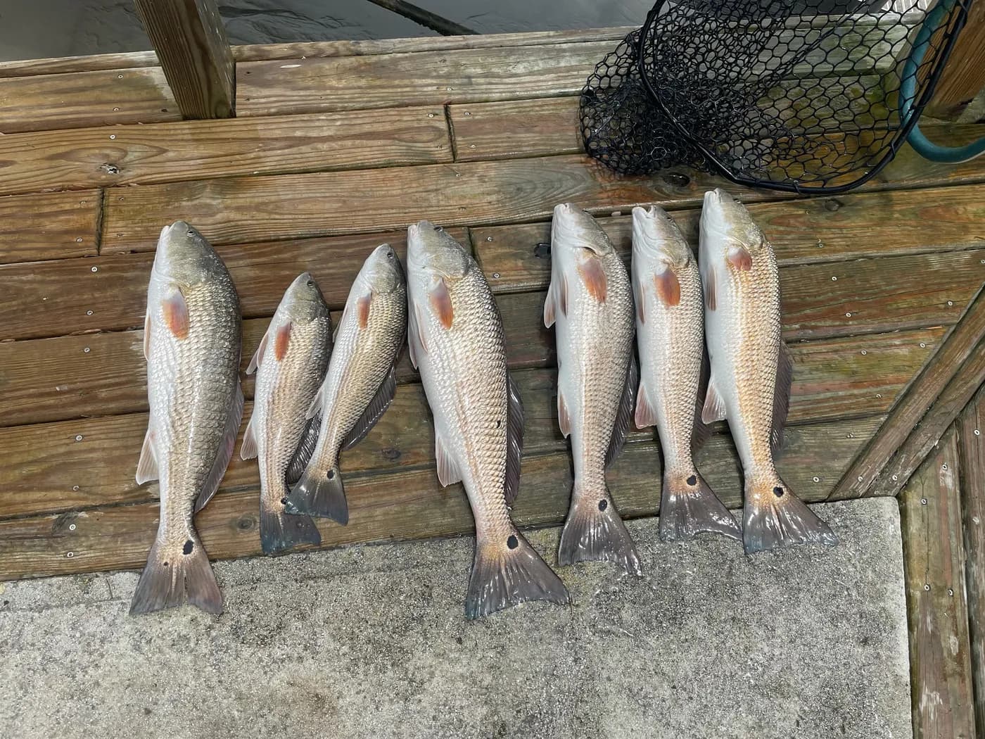 Dialed In Fishing Charters