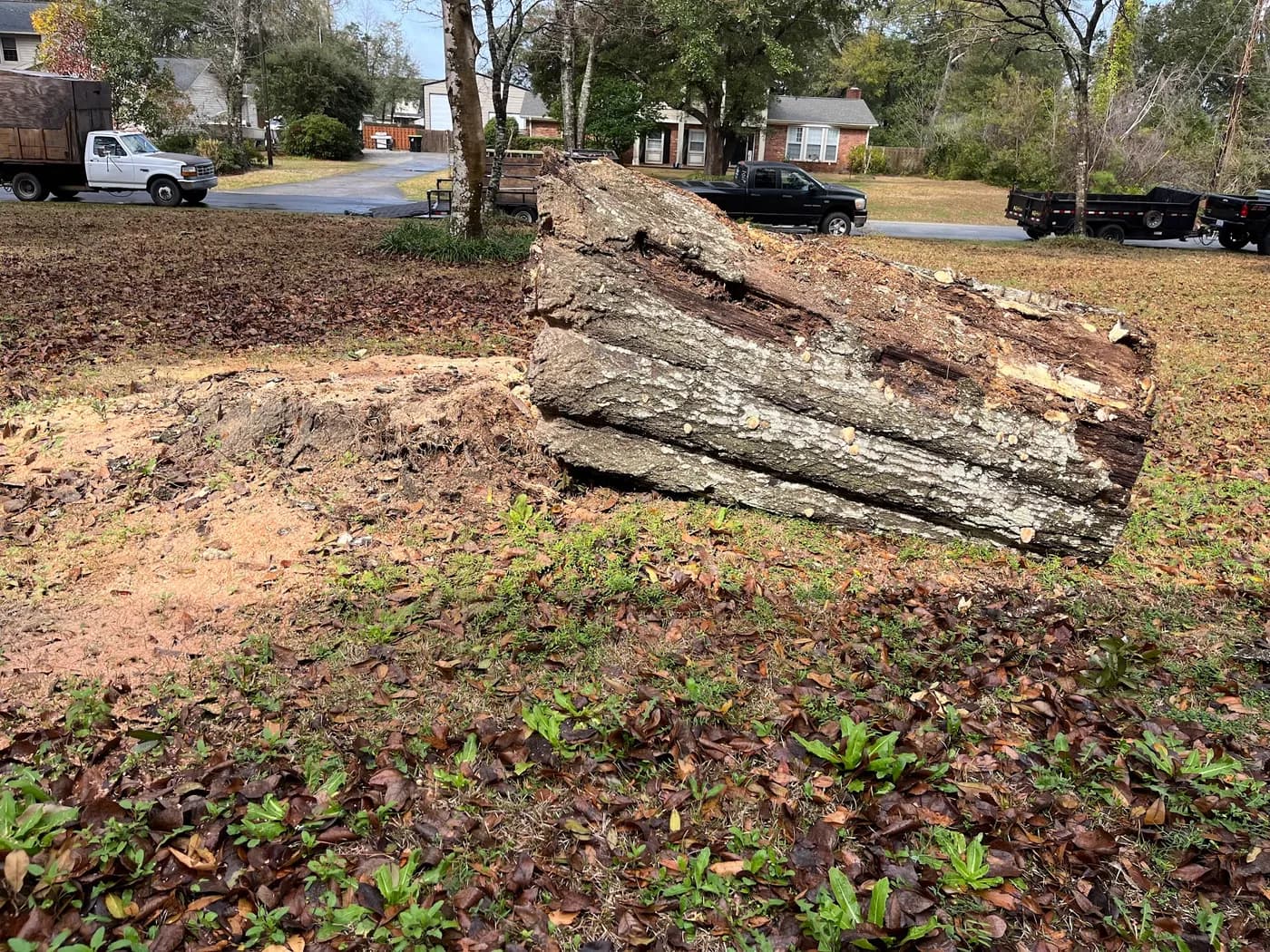 Hampton's Tree Service & Firewood