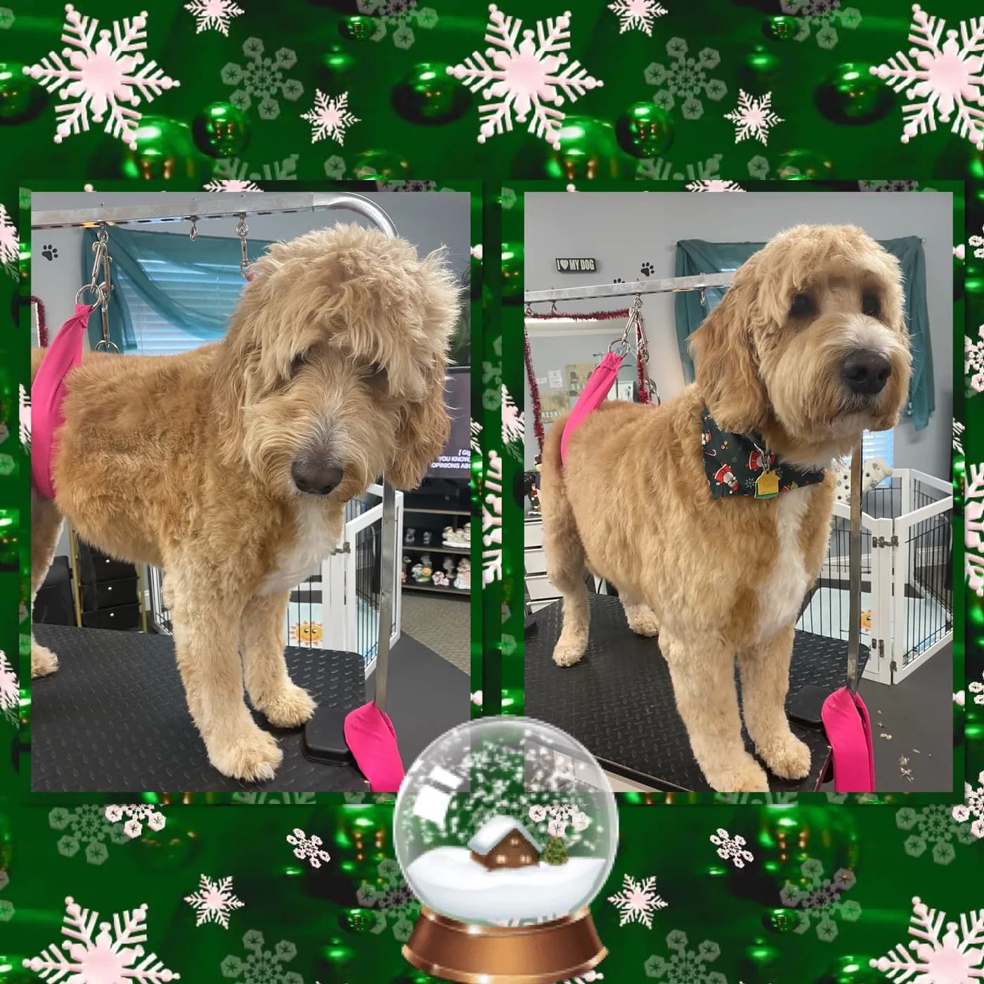 Harmony Pet Spa