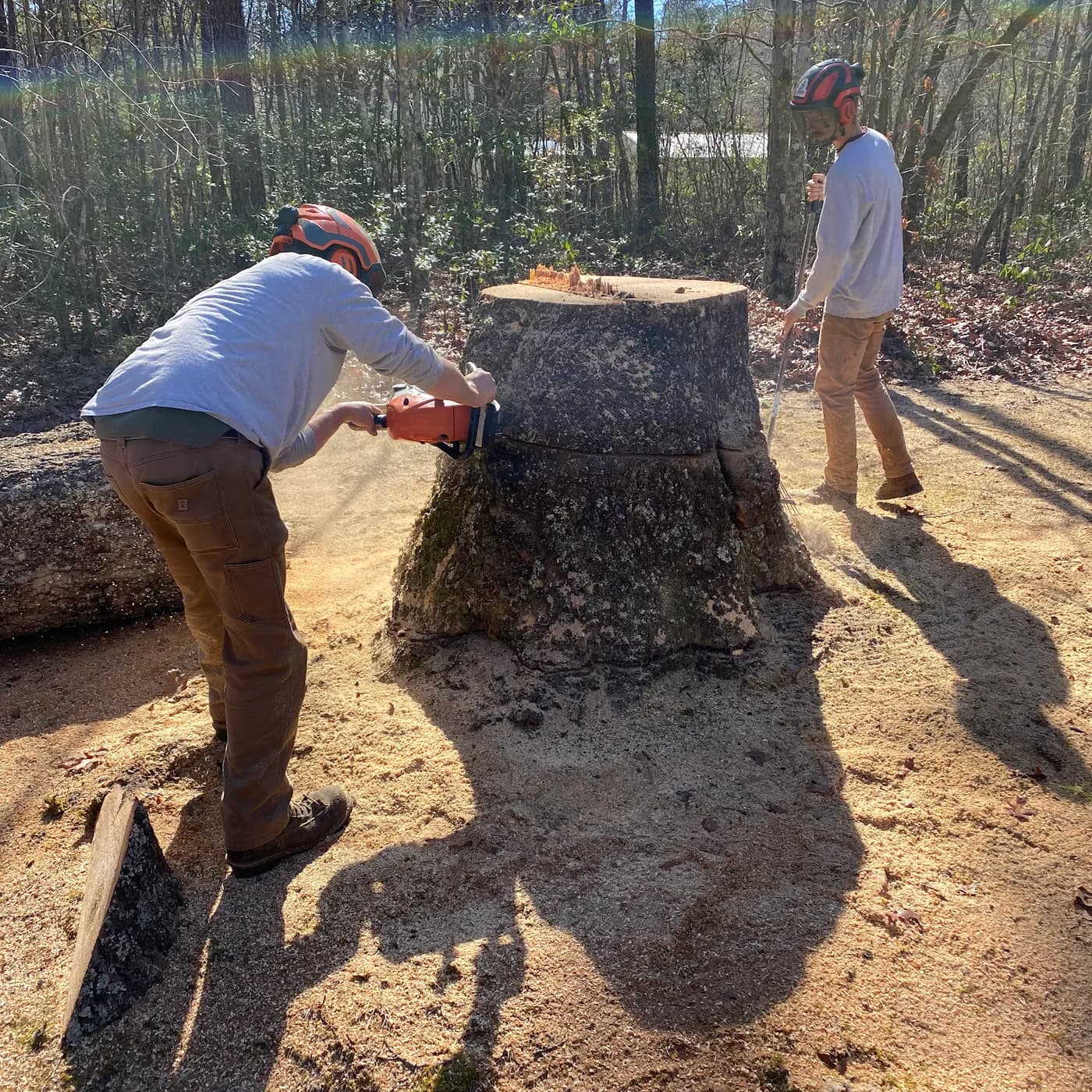 Settle Tree Service