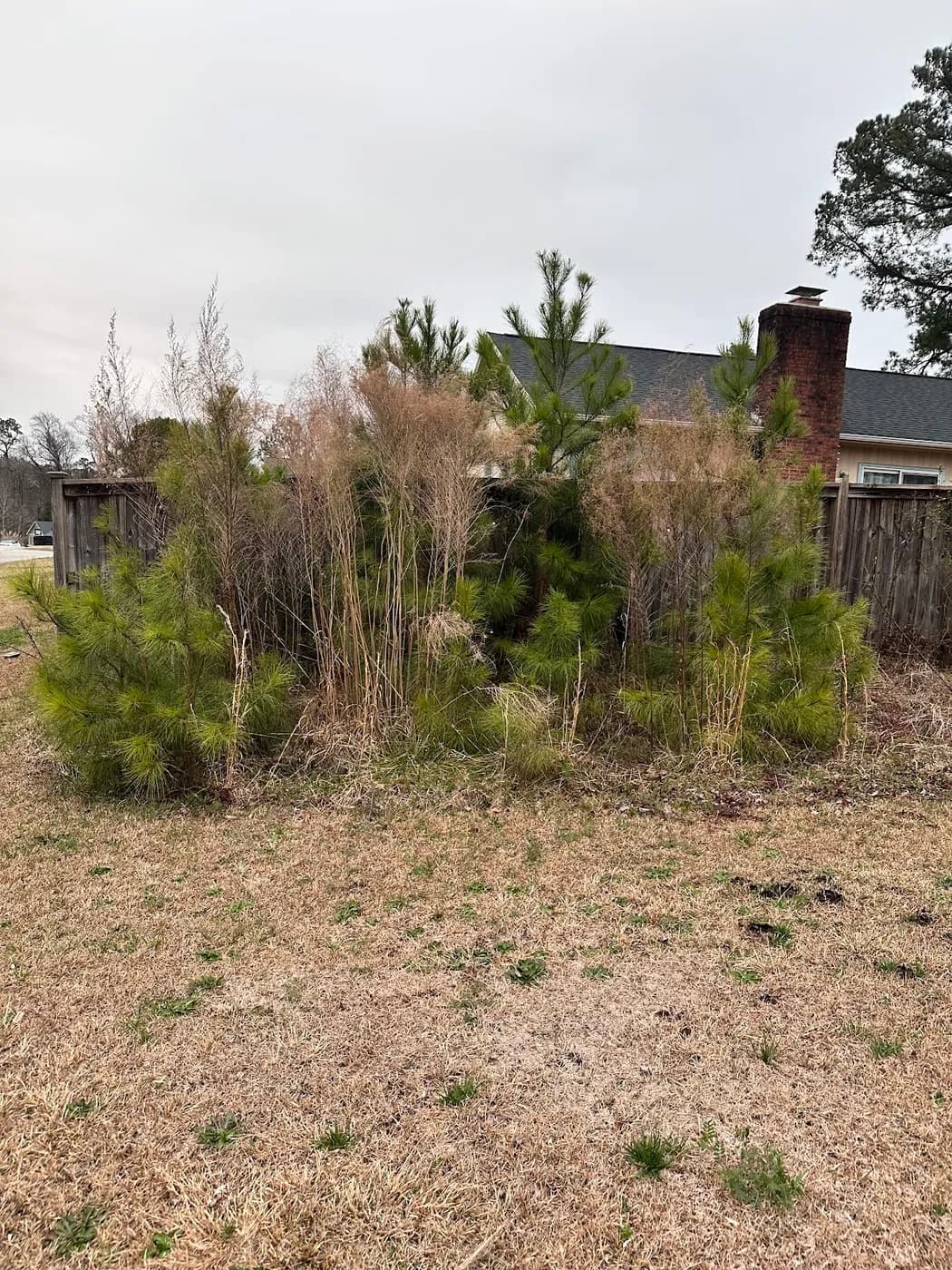 Universoul Landscaping